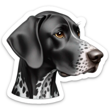 black german shorthair pointer, long snout, full black head, without white on the head, with white hair on the snout, black and white spotted body sticker