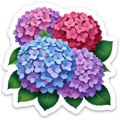 blue, red, pink and lilac hydrangeas sticker