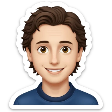 timothee chalamet sticker