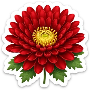 chrysanthemum flower full red sticker