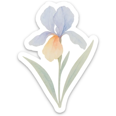 iris flower with stem and leaves, luminous colors, gentle blending, realistic botanical illustration sticker
