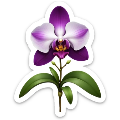 Cinematic Realistic Orchid Emoji, Exotic and elegant, with intricate, velvety petals in deep purple and white, forming a delicate and symmetrical blossom. The slender green stem holds the flower high, while surrounding leaves add lush contrast. Soft glowing outline, capturing the essence of rare beauty and sophistication in a captivating orchid. sticker