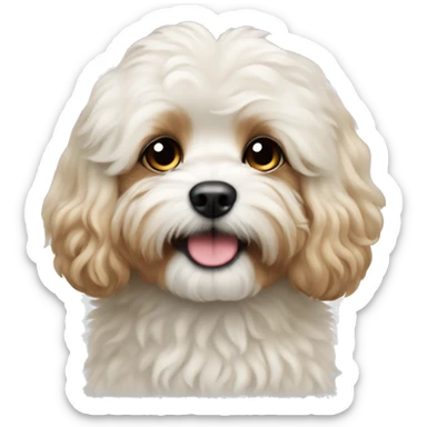 off white fluffy cavapoo sticker