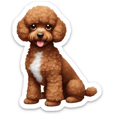 toy poodle red brown with white spot on chest without collar sticker