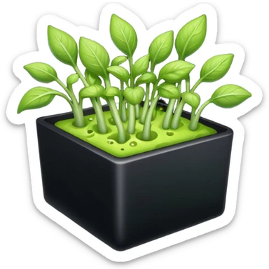aromatic sprouts black box sticker