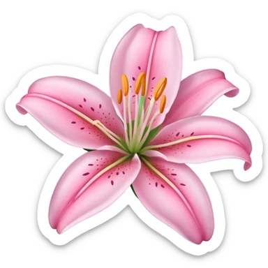 lily flower pink sticker