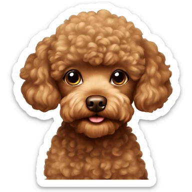 A brown toy poodle with a light brown head sticker