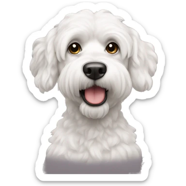 caniche moyen blanc sticker