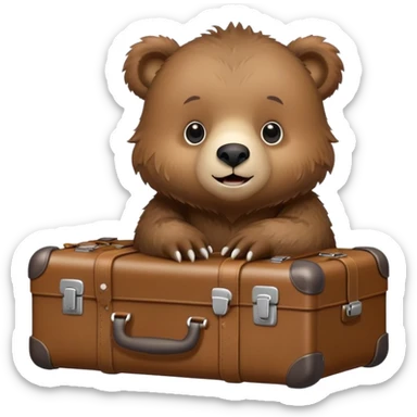 Baby Grizzly bear with a suitcase sticker