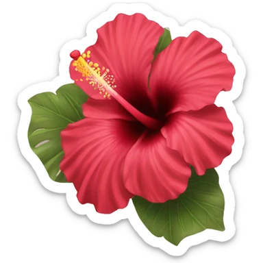 Hibiscus  sticker