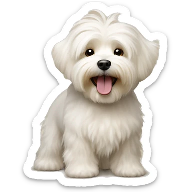 Beige happy bichon havanese dog  sticker