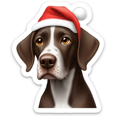Brown German shorthaired pointer dog with Christmas hat sticker
