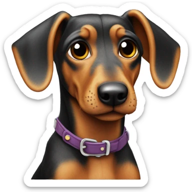 teckel nain arlequin  sticker