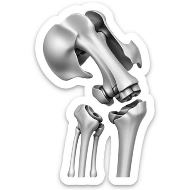 x-ray of knee joint, medical scan showing knee bones sticker