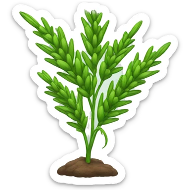 rye plant sticker