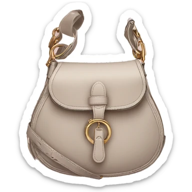 Dior saddle bag sticker