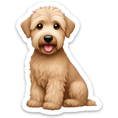 Apricot schnoodle sticker