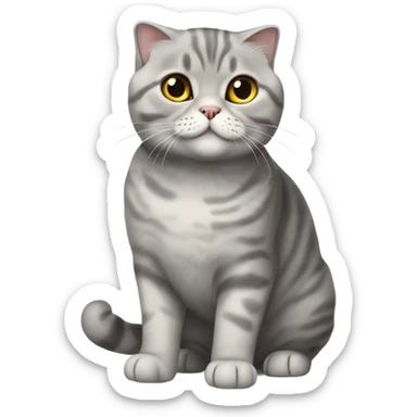 Grey scottish fold cat full body smiling  sticker