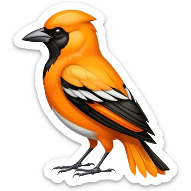 hooded Oriole sticker
