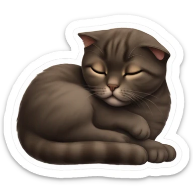 Scottish fold dark brown kitty sleeping on brunette white girl's lap sticker