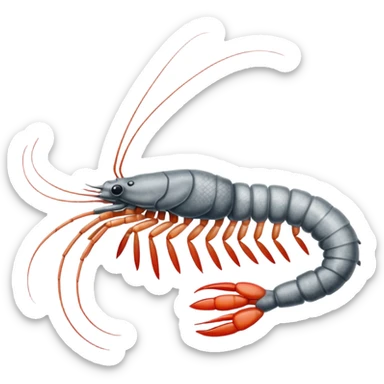 Shrimp sketched with pencil  sticker