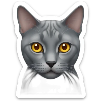grey british cat with amber eyes sticker