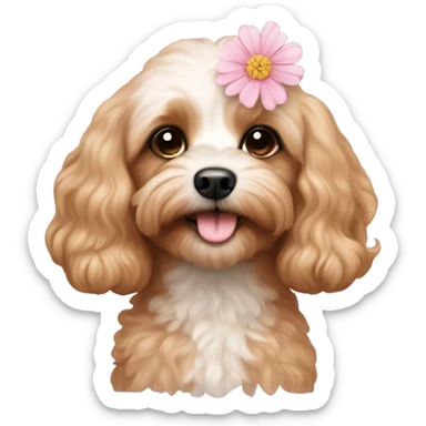  Cavapoo with light pink flower  sticker