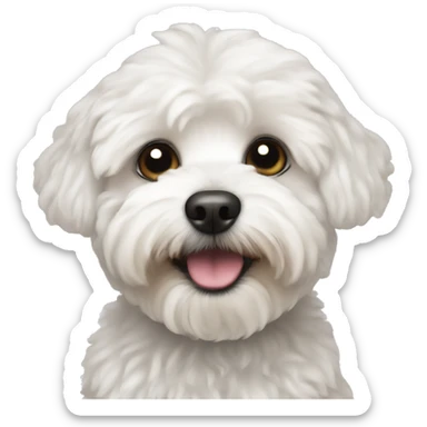 White Maltipoo sticker