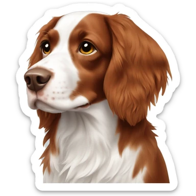 Brittany spaniel long hair sticker