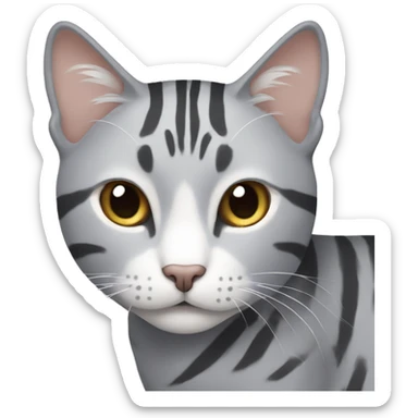 light gray cat with gray stripes like a tiger sticker