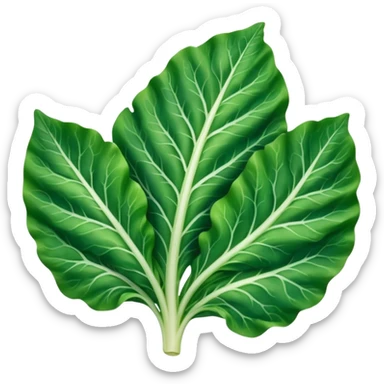 single chard leaf with broad vibrant green blades and thick white rib running down the center, slightly crinkled matte texture, natural curves, visible veins, no bunch soil or extras, soft lighting, subtle shadows, emoji scale sticker