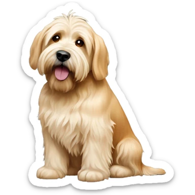 blonde wheaten terrier sitting by king charles spaniel mix sticker