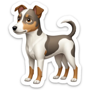 a full body large white parson russell looking dog the size of a kelpie with light brown ears and a light brown patch on one eye and a large snout sticker