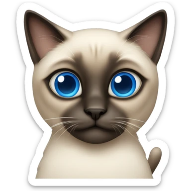 The Siamese cat is moderately fluffy with blue eyes sticker