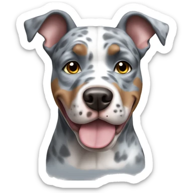 Blue Merle pitbull sticker