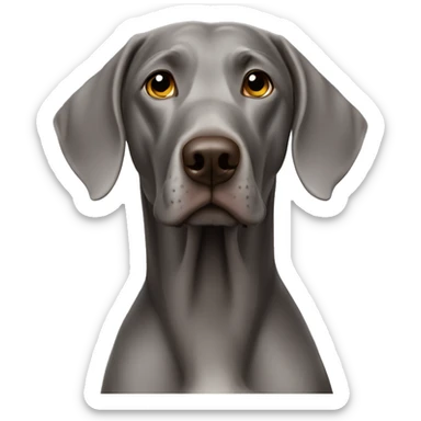 Weimaraner sticker