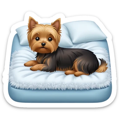 Yorkshire terrier, sleeping peacefully on the bed sticker