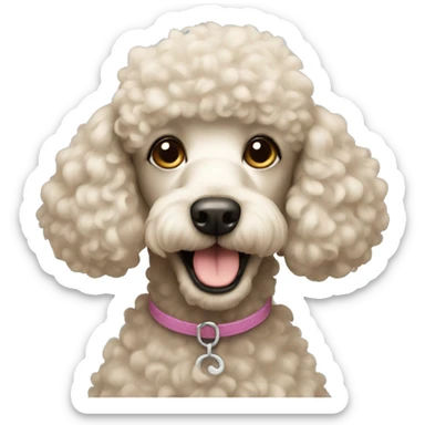 Poodle sticker