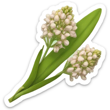 milkweed sticker