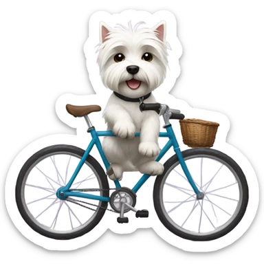 West highland terrier riding a bike sticker