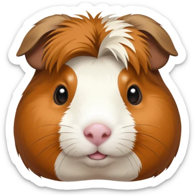 Баллы твич Морская свинка размер 28x28 прозрачный фон png вес 25кб sticker