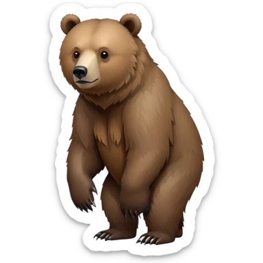 Realistic grizzly bear on four legs with natural fur texture, minimalist design sticker