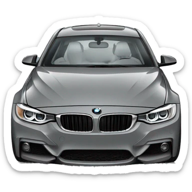 BMW f31  sticker