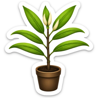 Planta de vainilla sticker