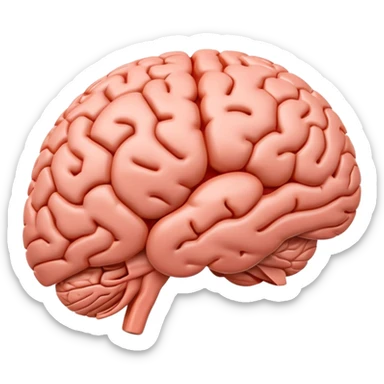 "Realistic 3D human brain emoji, detailed neural folds, soft reflections, glossy texture, subtle shadows, rounded friendly emoji shape, high resolution, transparent background" sticker