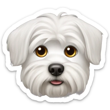 A white Maltese dogs with pointy ears  sticker