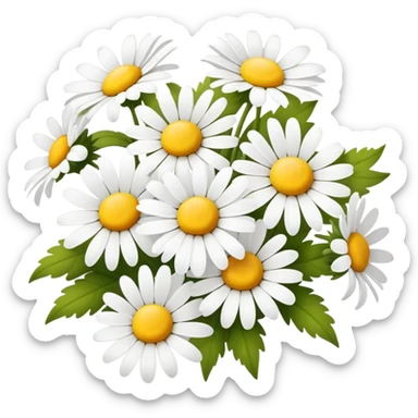CHAMOMILE sticker