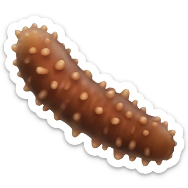 Flesh colored sea cucumber  sticker