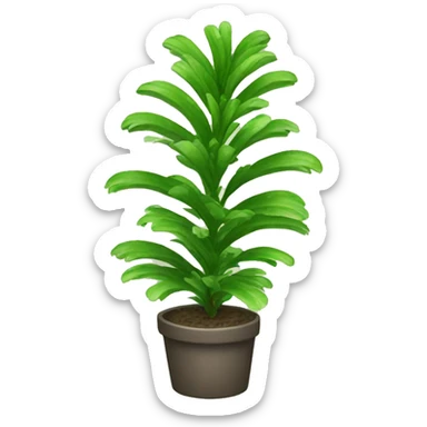 nephrolepis exaltata plant sticker