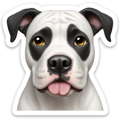Black and white pit bull dog sticker